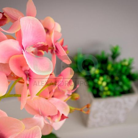 The Floral Suite Αλεξανδρούπολη Εξωτερικό φωτογραφία