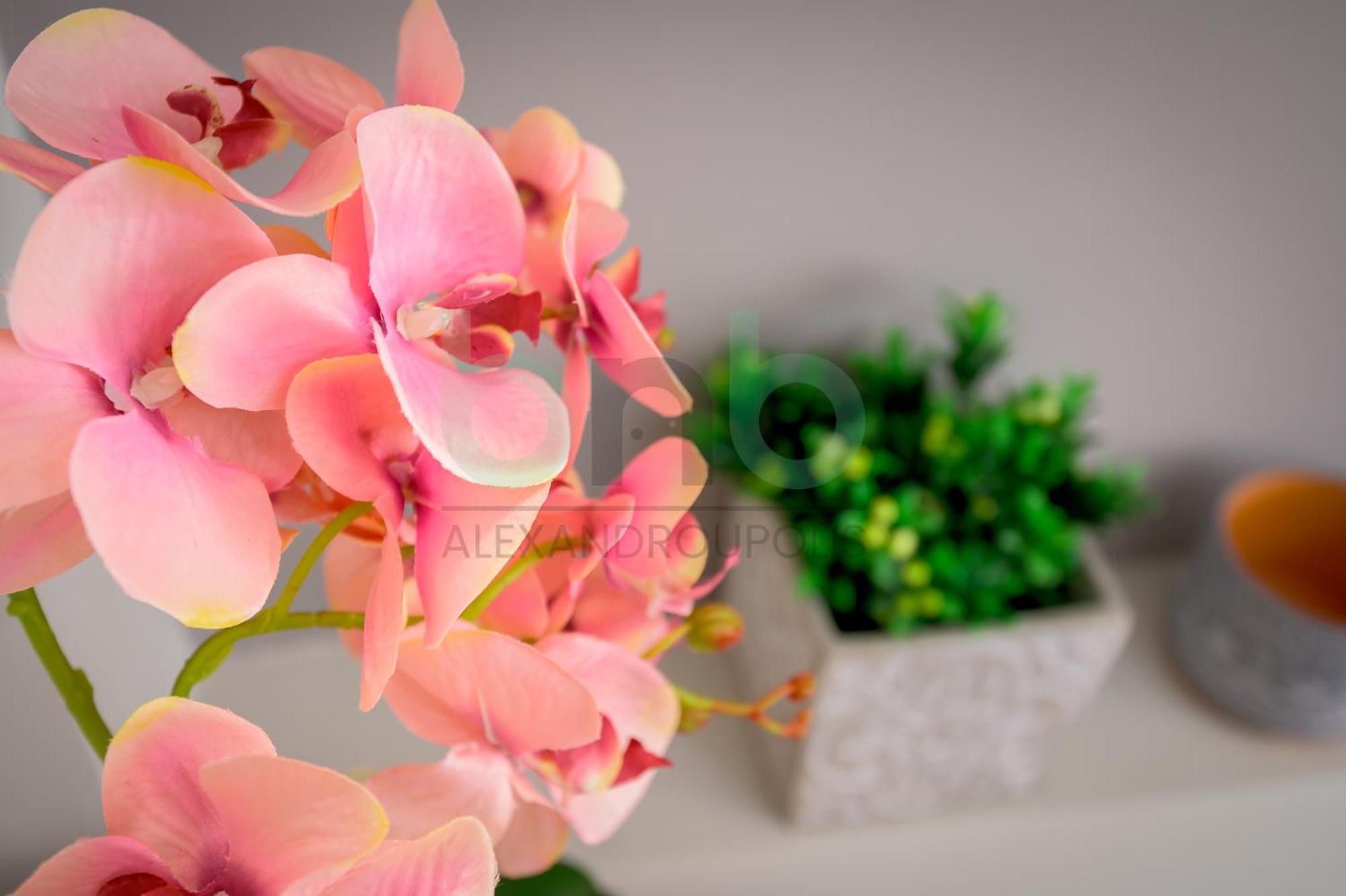 The Floral Suite Αλεξανδρούπολη Εξωτερικό φωτογραφία