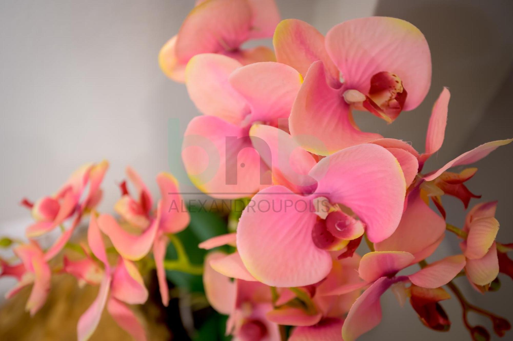 The Floral Suite Αλεξανδρούπολη Εξωτερικό φωτογραφία