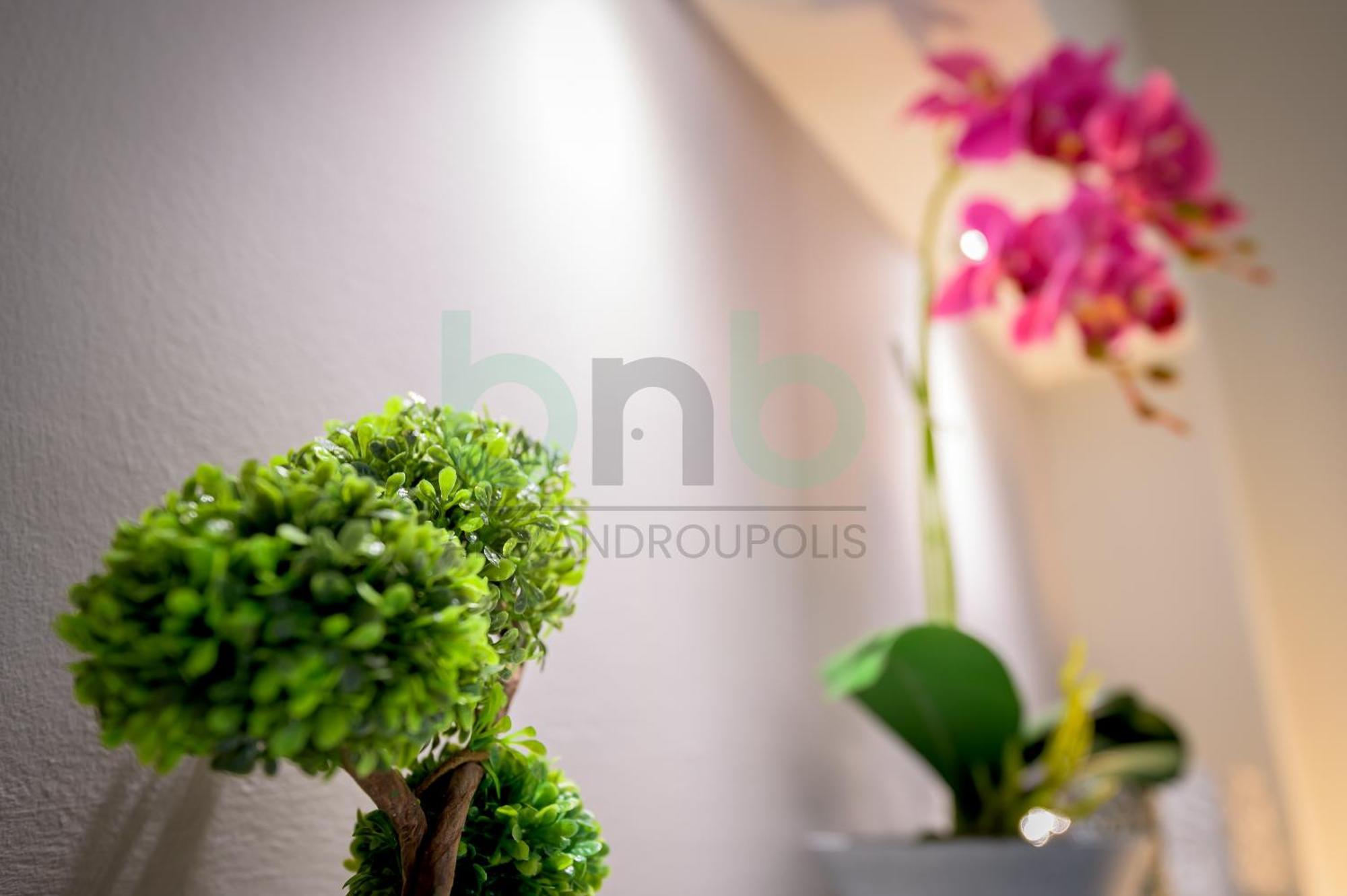 The Floral Suite Αλεξανδρούπολη Εξωτερικό φωτογραφία